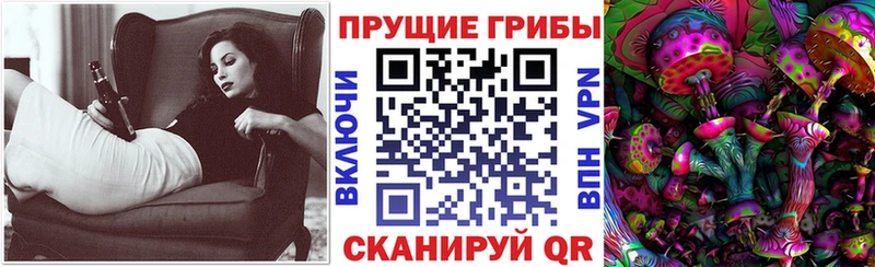 Псилоцибиновые грибы MAGIC MUSHROOMS  где можно купить наркотик  Закаменск 