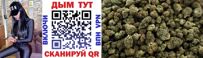 Канабис White Widow где купить наркоту Закаменск